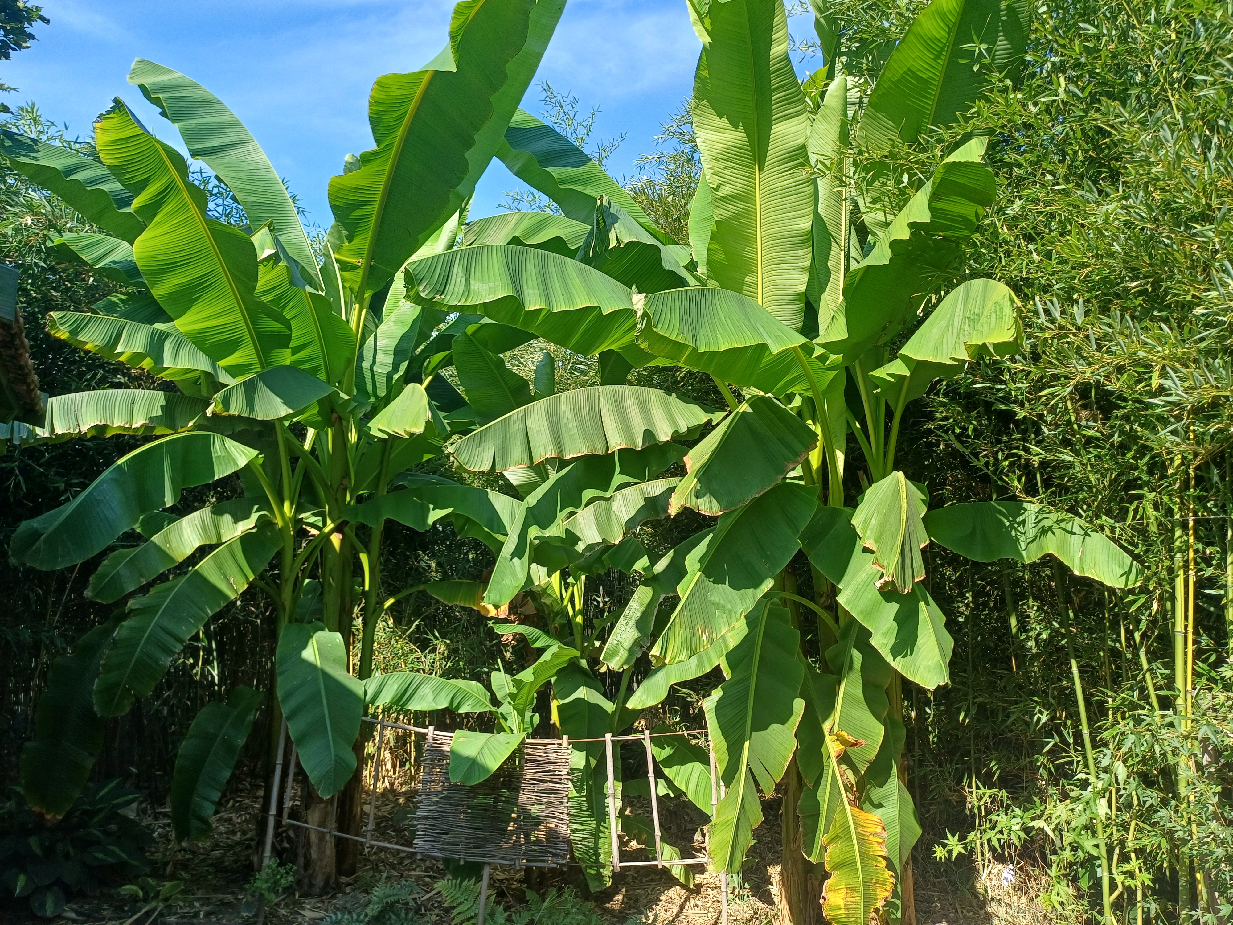 Iskolás csoportok fogadása
