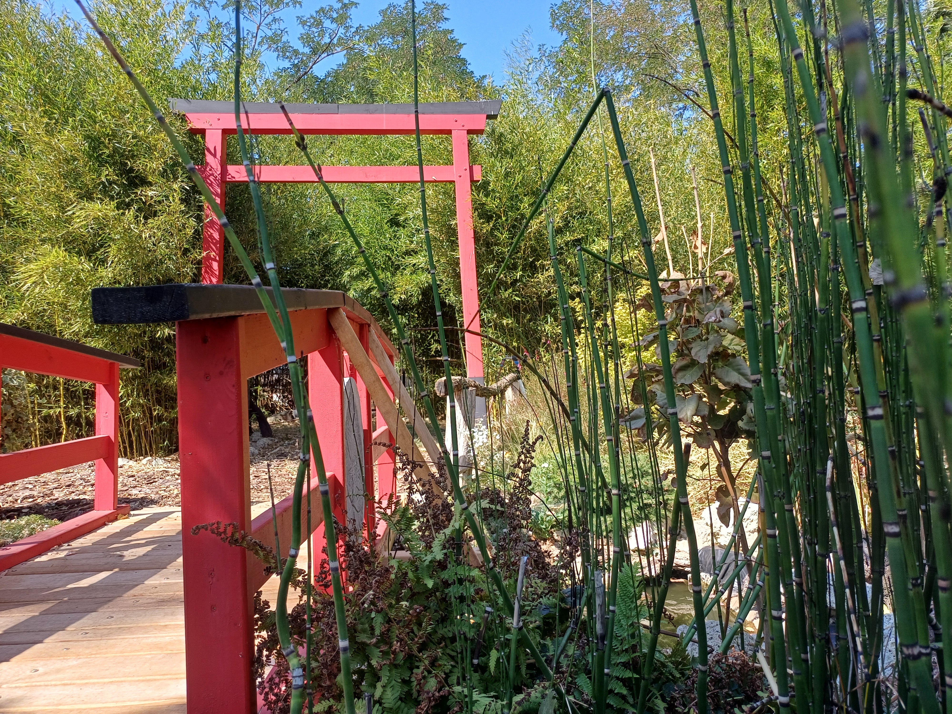 Iskolás csoportok fogadása